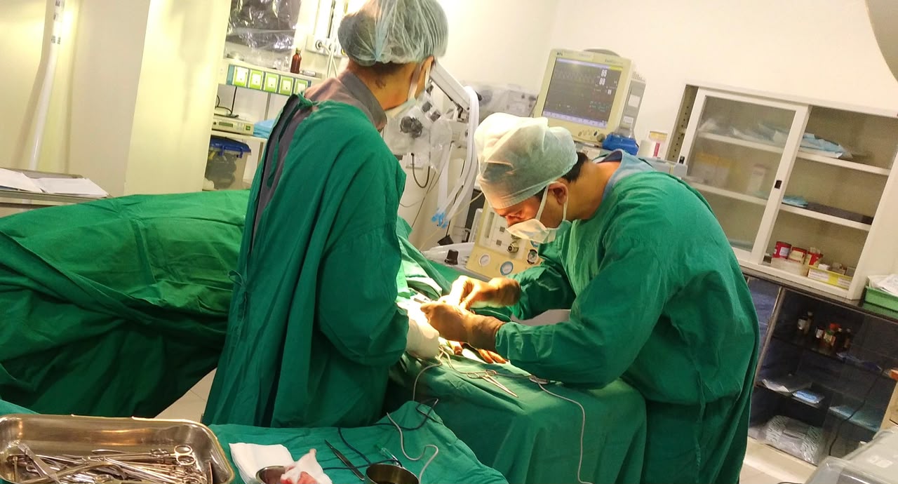 General & GI Surgery at Greenview Medical Center